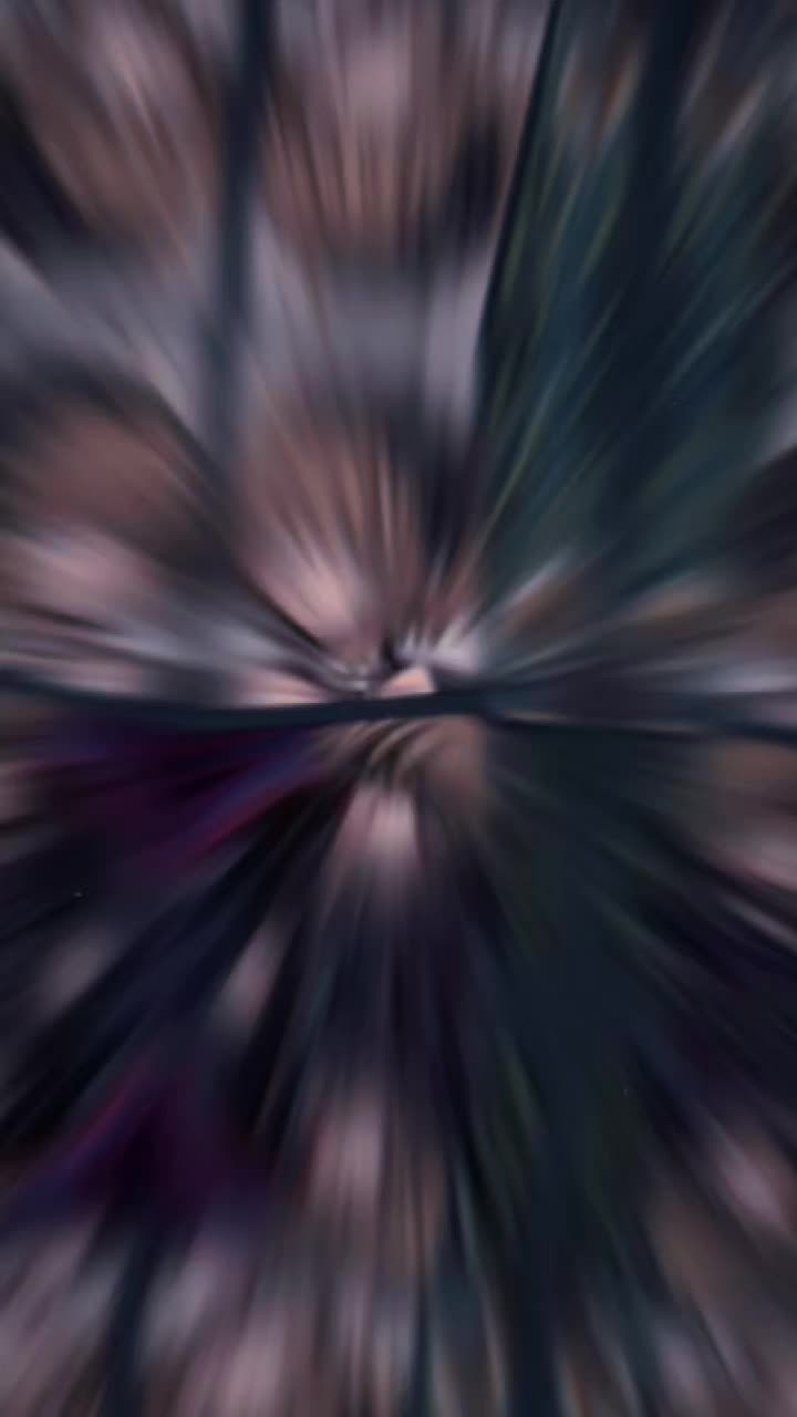 @AnimeZz