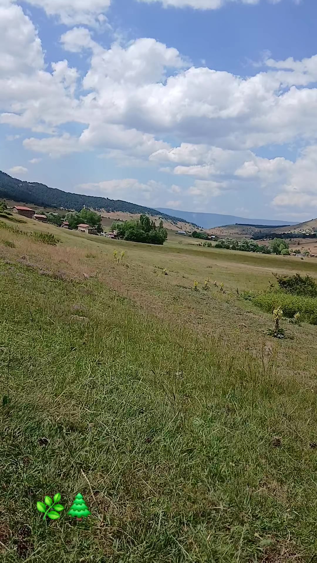 @fidansamet68