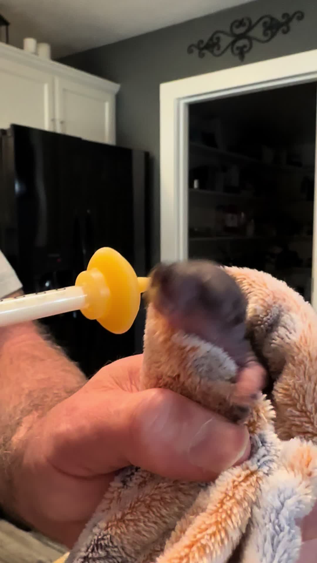 @Squirrel Guy