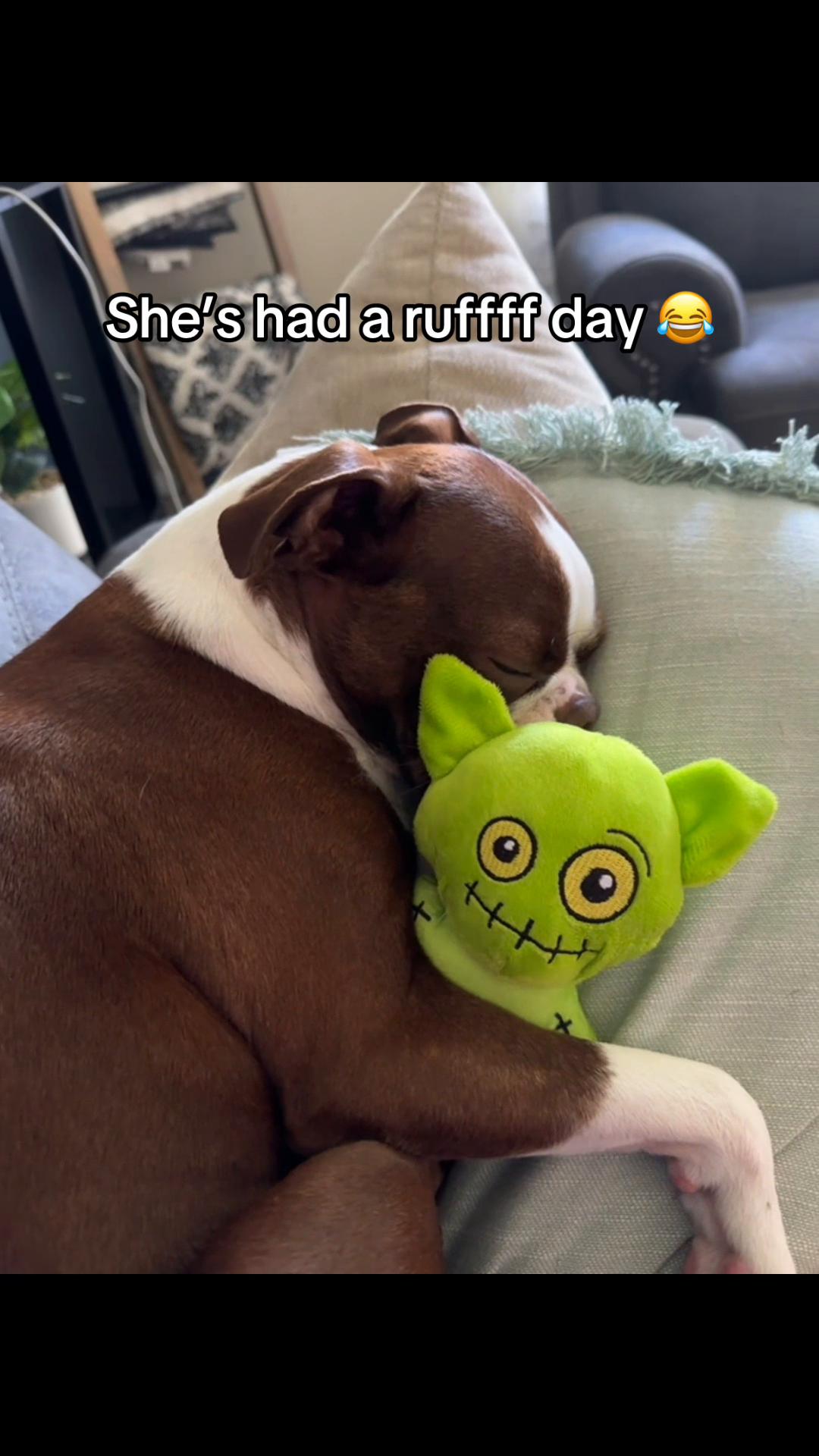 @Susie