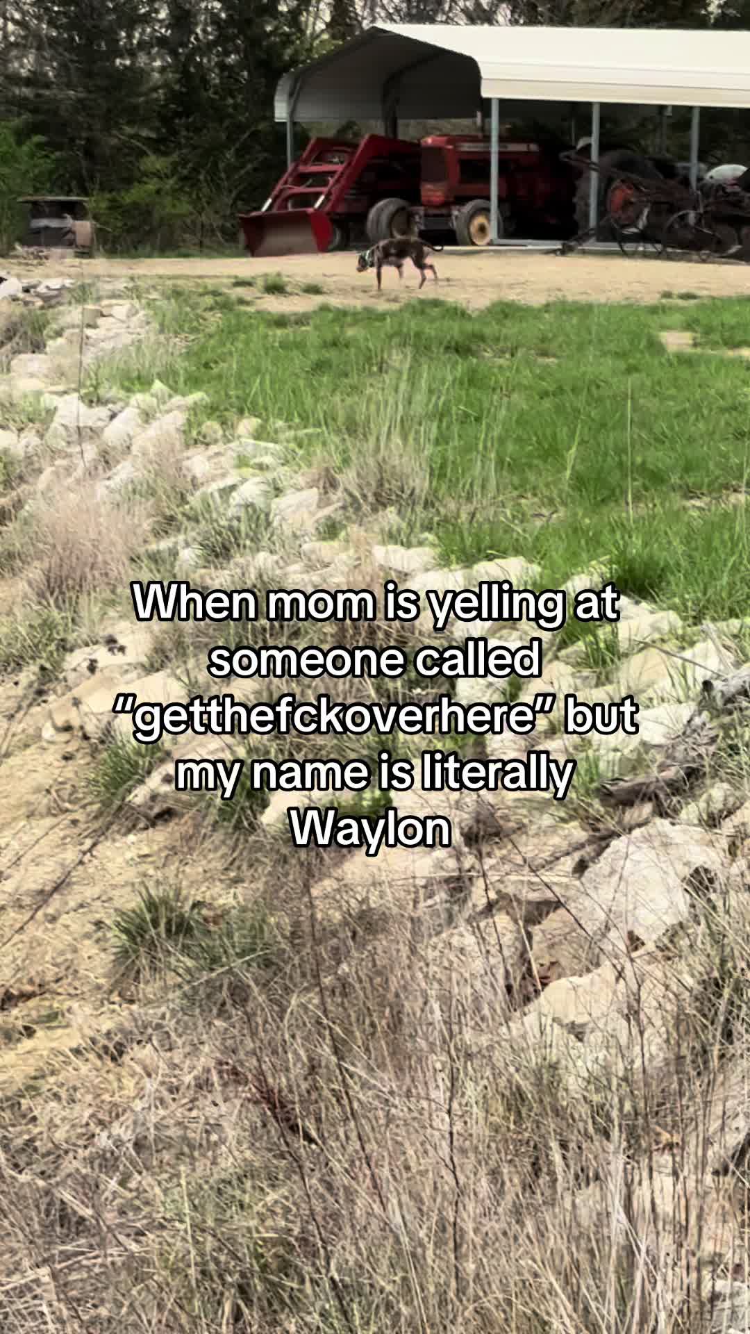 @Waylon