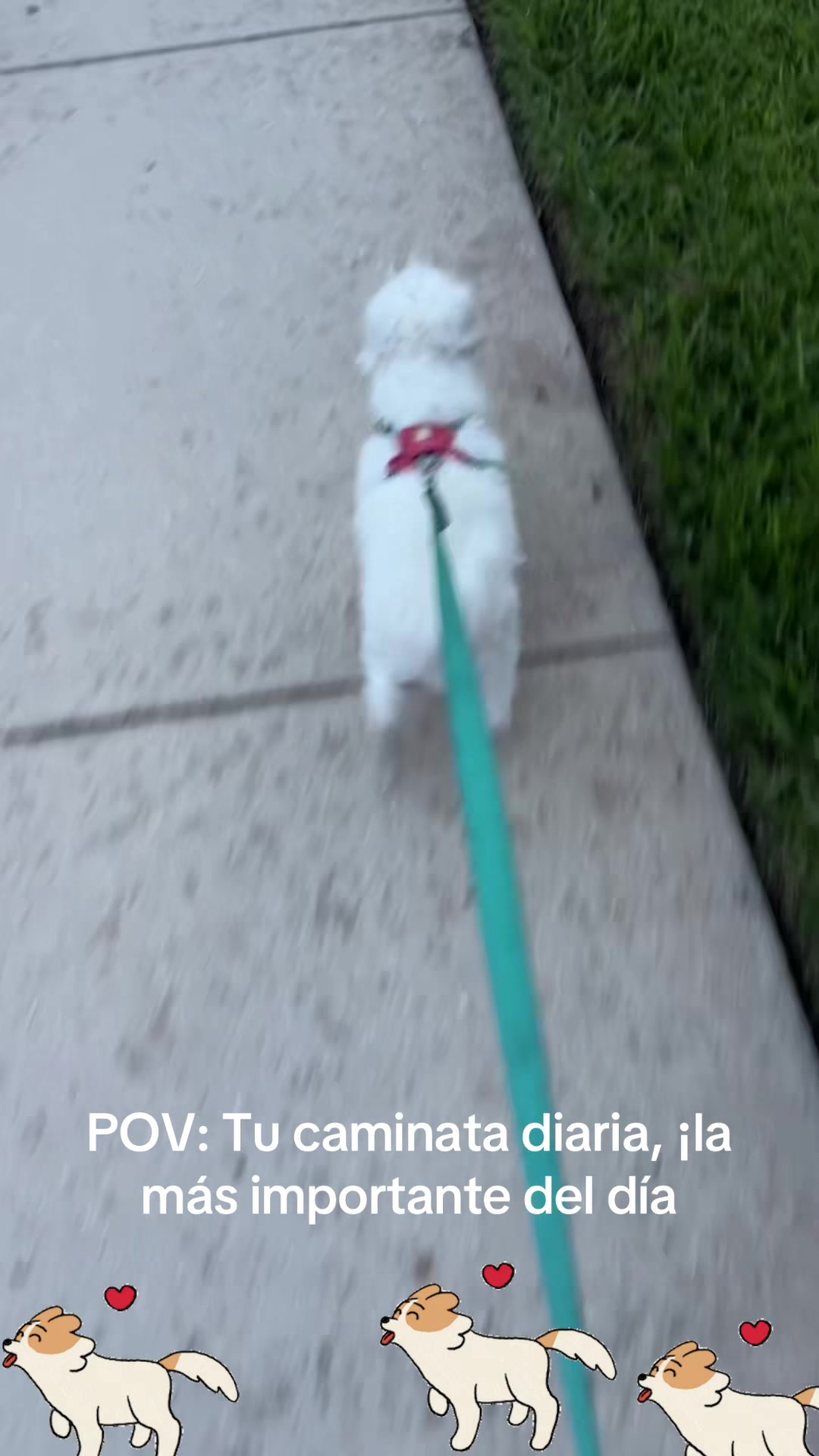 @los3huevertos