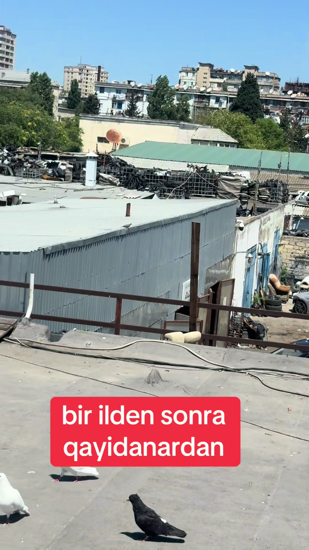 @Orxan.Bakinec