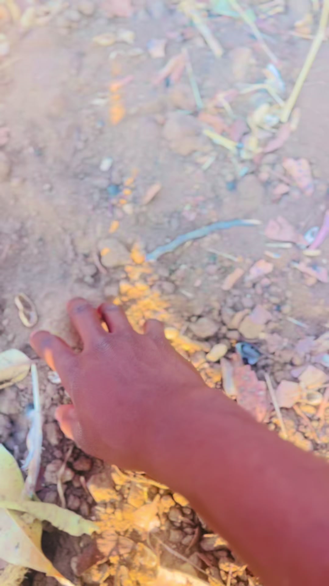 @konjera263
