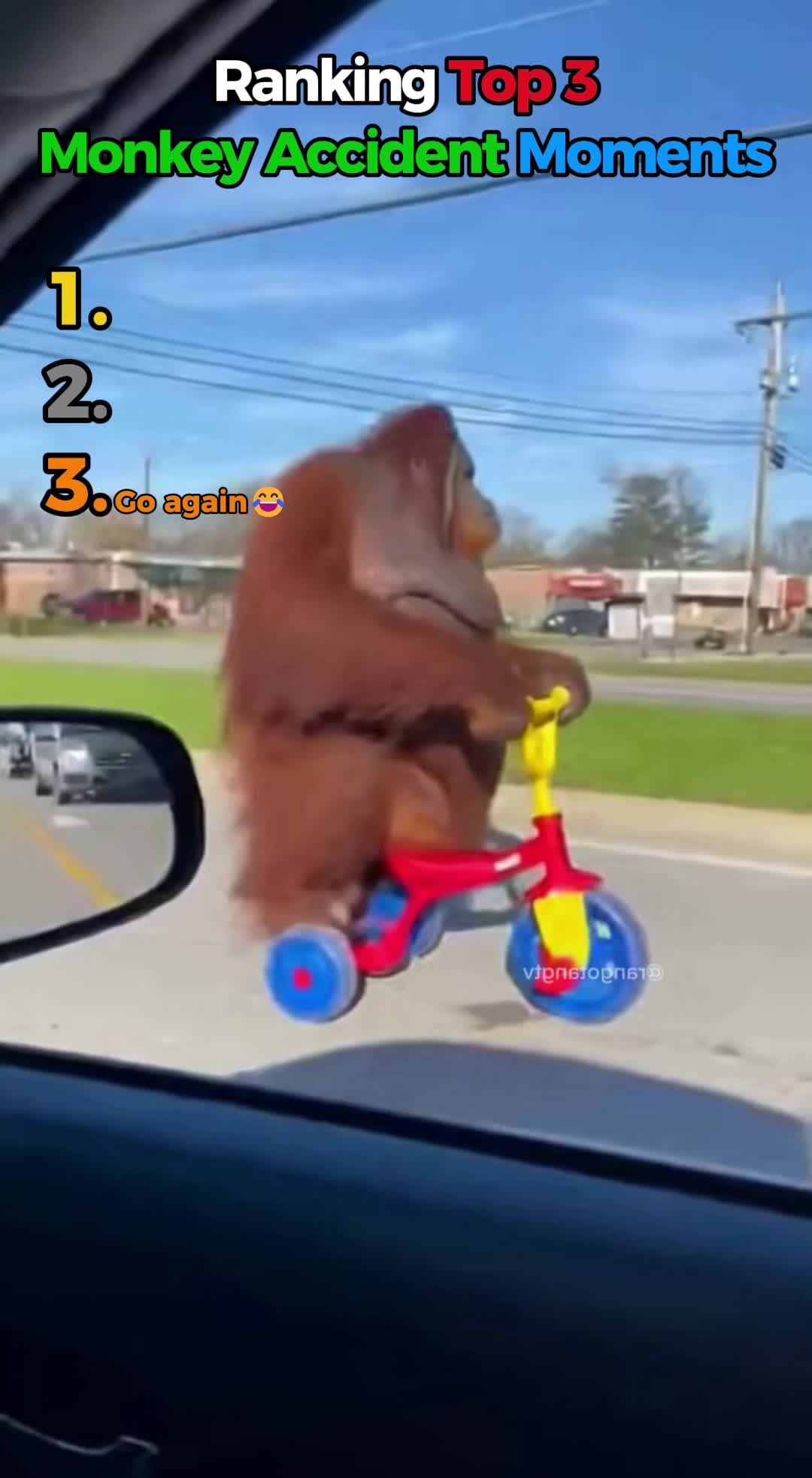@Top 5 Ranking Videos