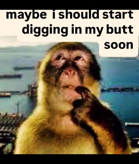 @Zan