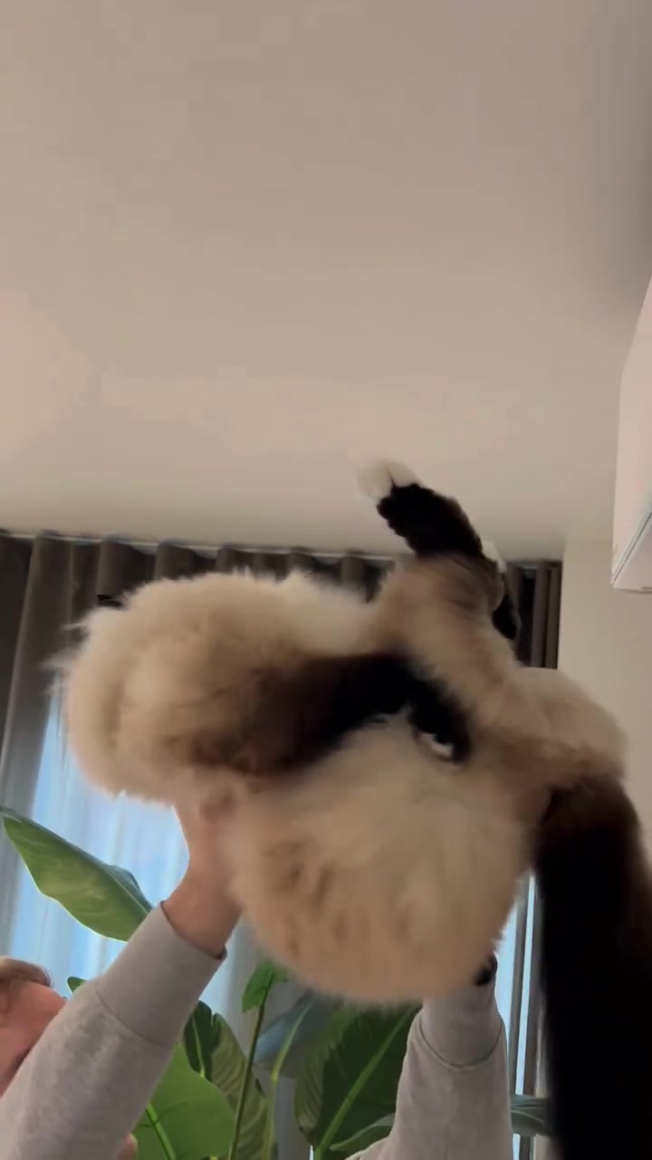 @Henk&Ollie 😺
