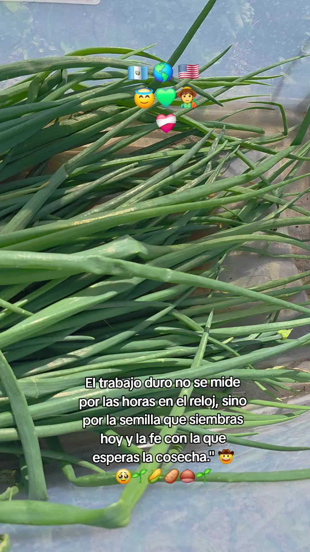 @𝙇𝙪𝙞𝙞502👨&zwj;🌾