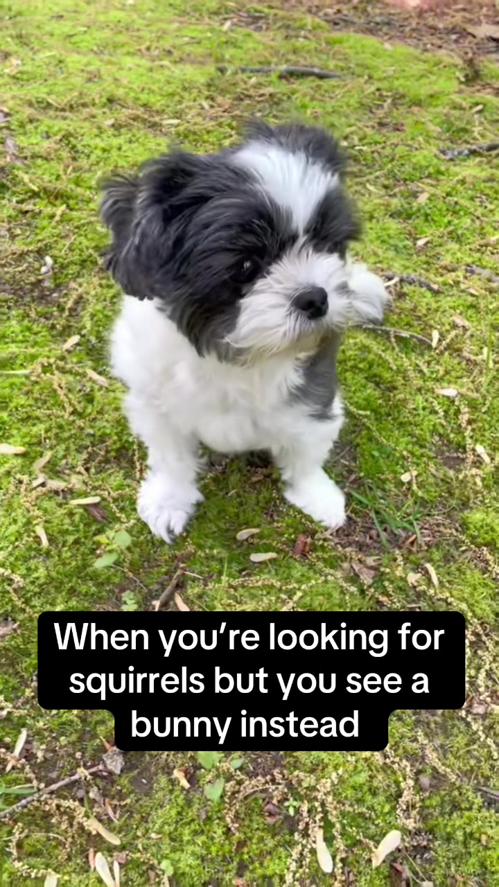 @LittleLuna.and.Lola