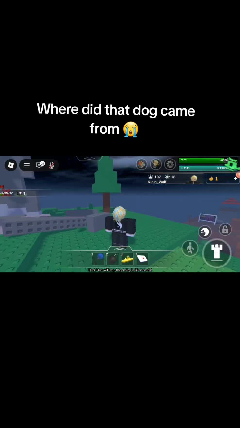 @Klein_Wolf