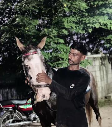 @Ijaz Baloch 🥰