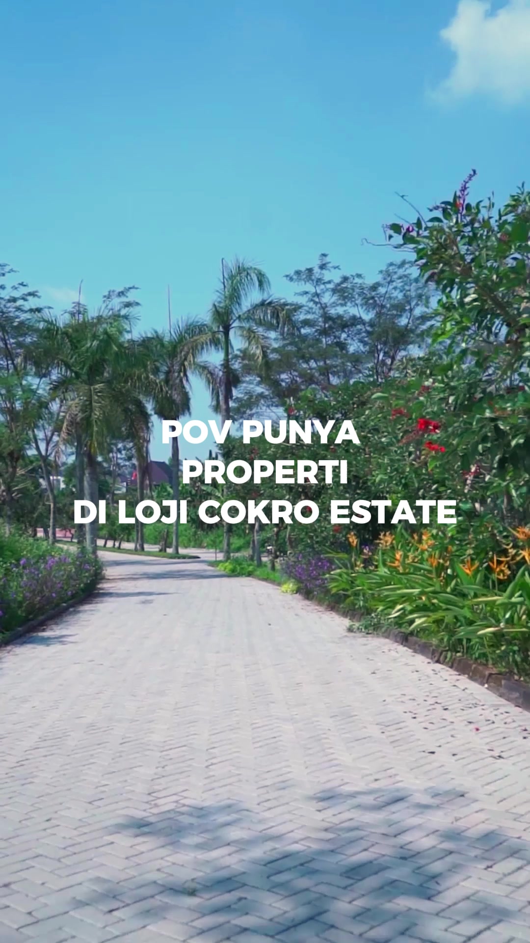 @Loji Cokro Estate