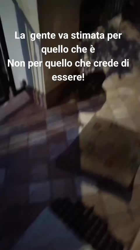 @ELETTRA L'ANIMALISTA