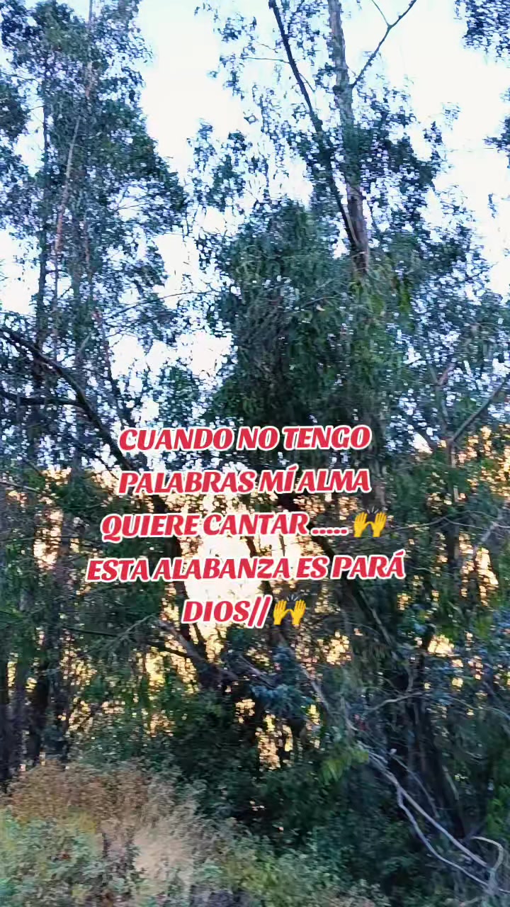 @LauMarleM🇵🇪💚