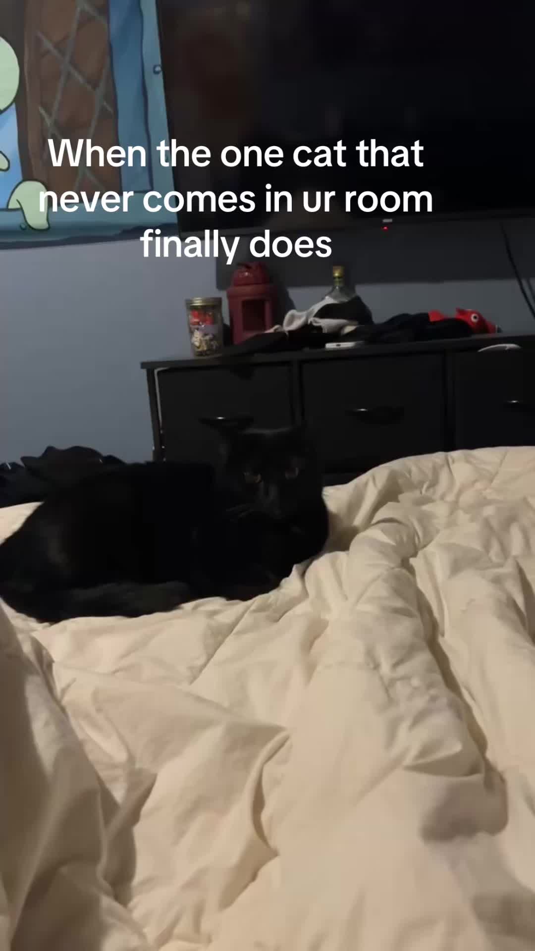 @Nat.