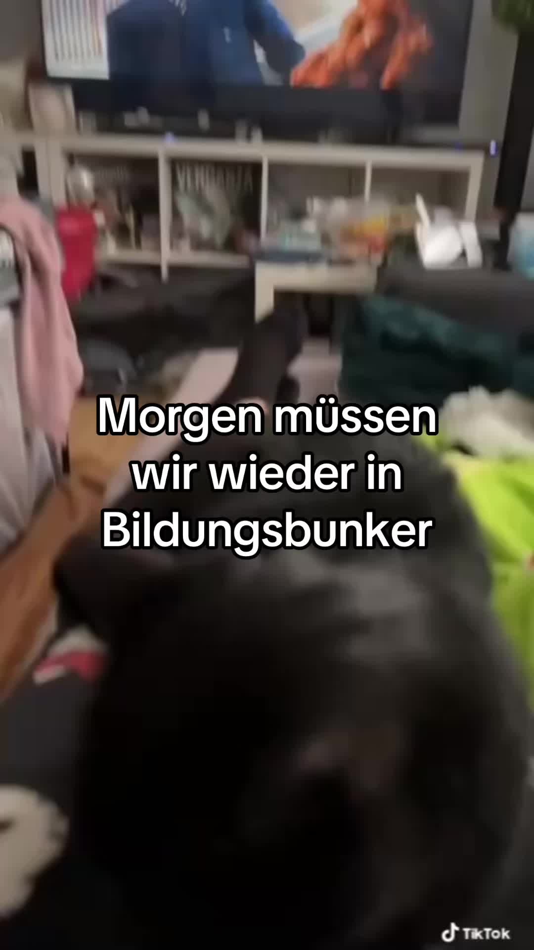 @𝔗𝔞𝔫𝔧𝔞 ⚢