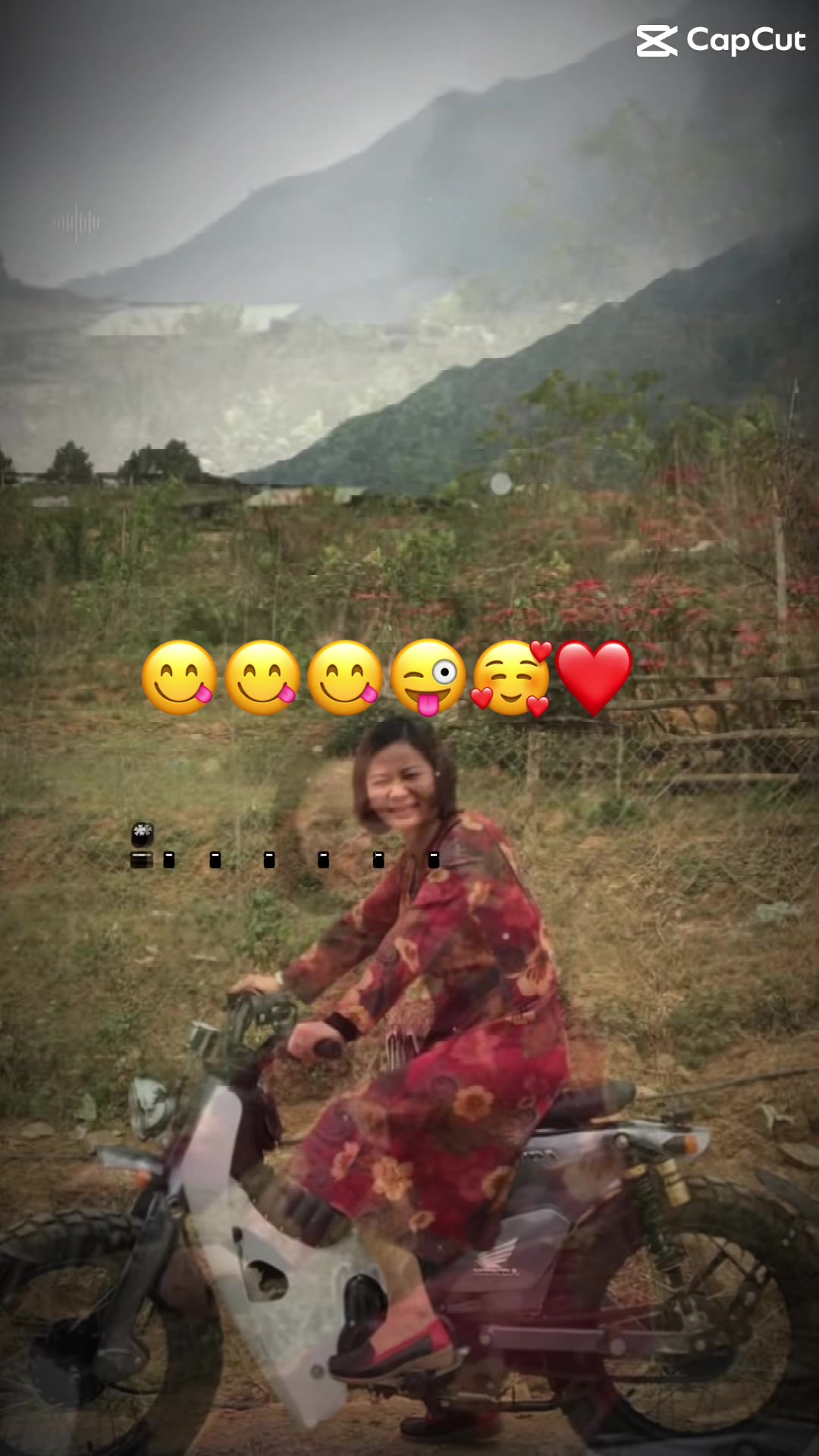 @Hoa s&uacute;n ( nh&iacute; nhố)