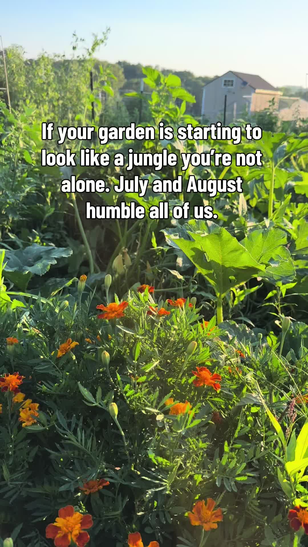 @Sierra ๐ด๐๐ป| Homesteading