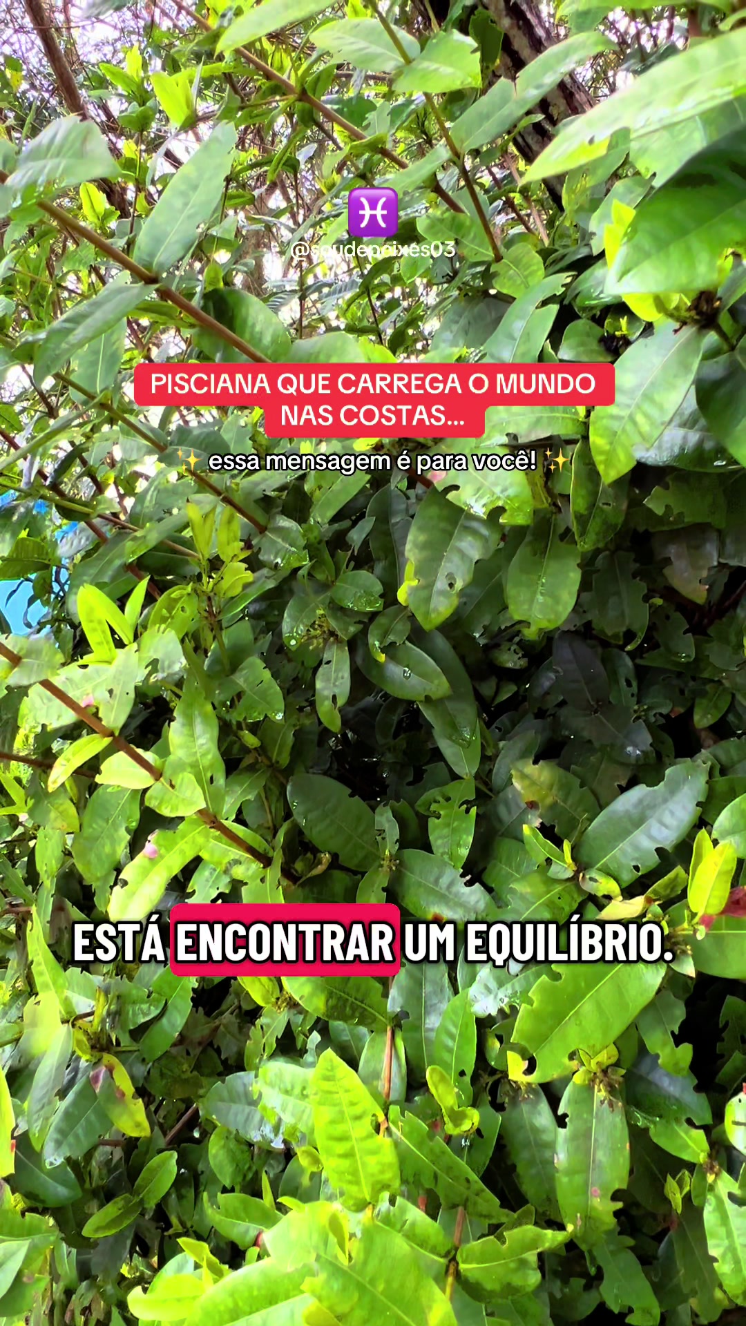 @soudepeixes