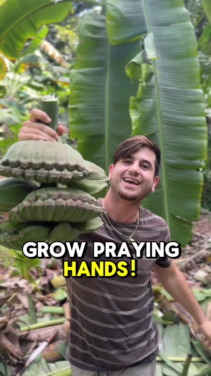 @will.harvest