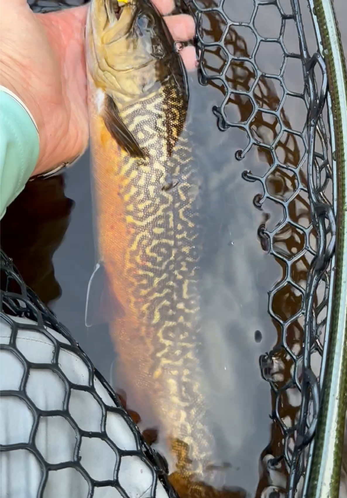 @FlyFishDelawhere