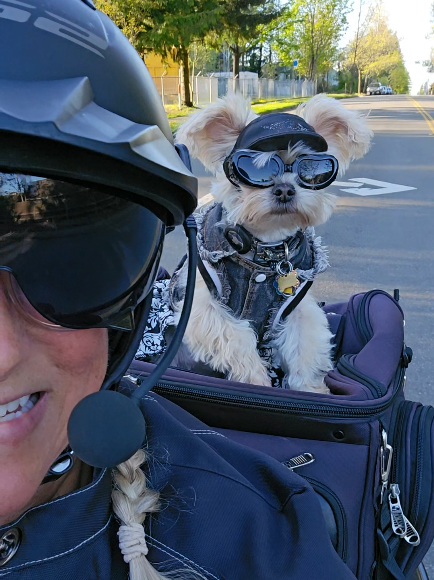 @โ๏ธ Mindy_da_Morkie โ๏ธ๐ฉท๐ถ๐๐