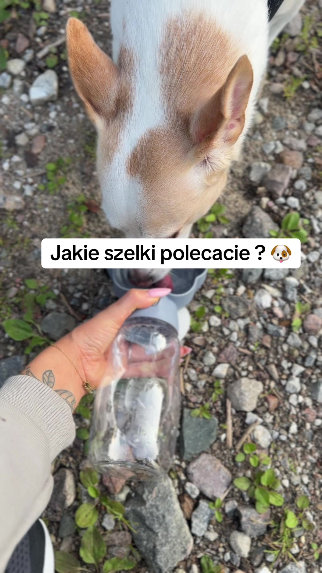 @Olimpia Woźniak