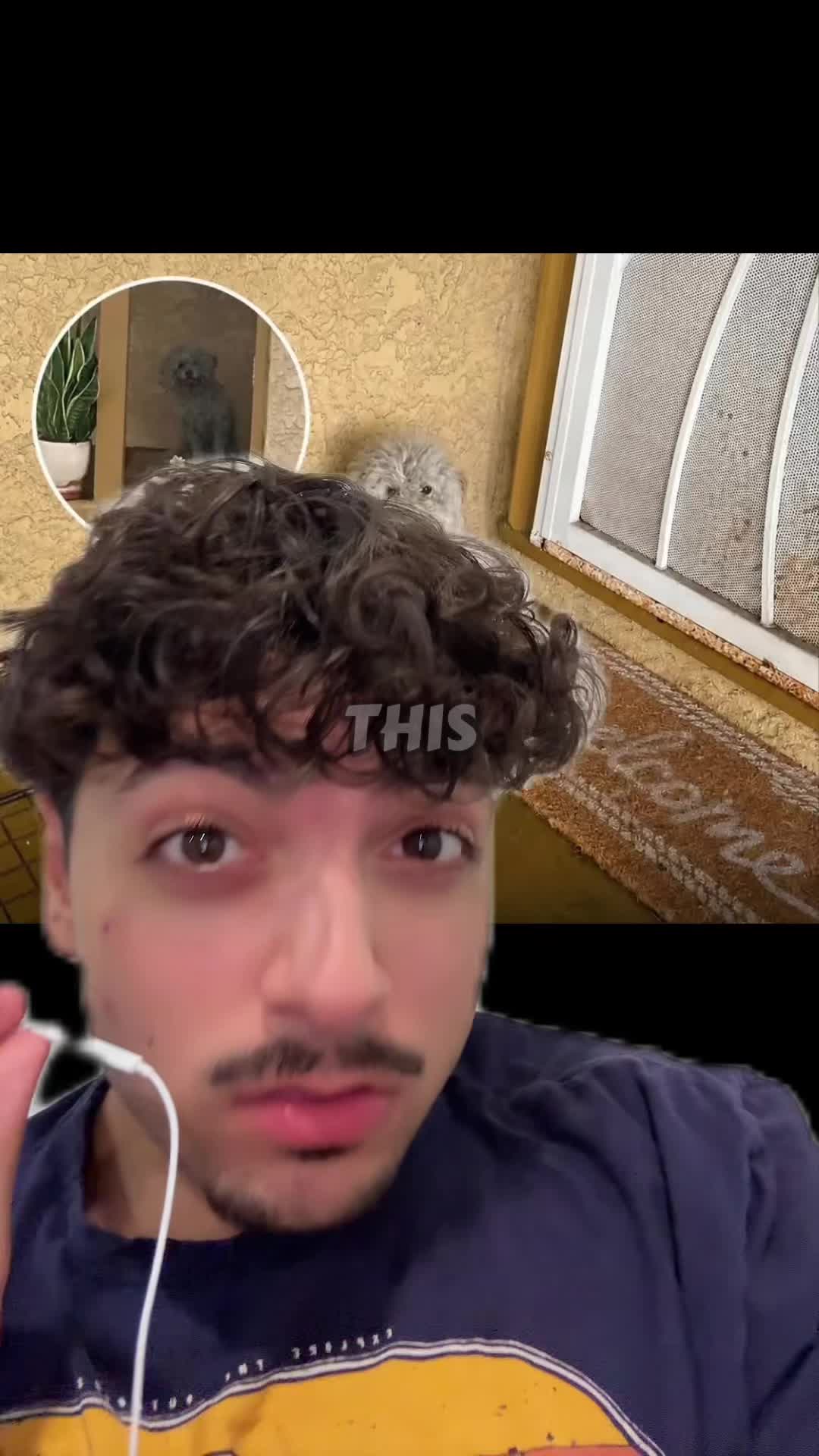 @Sbladn