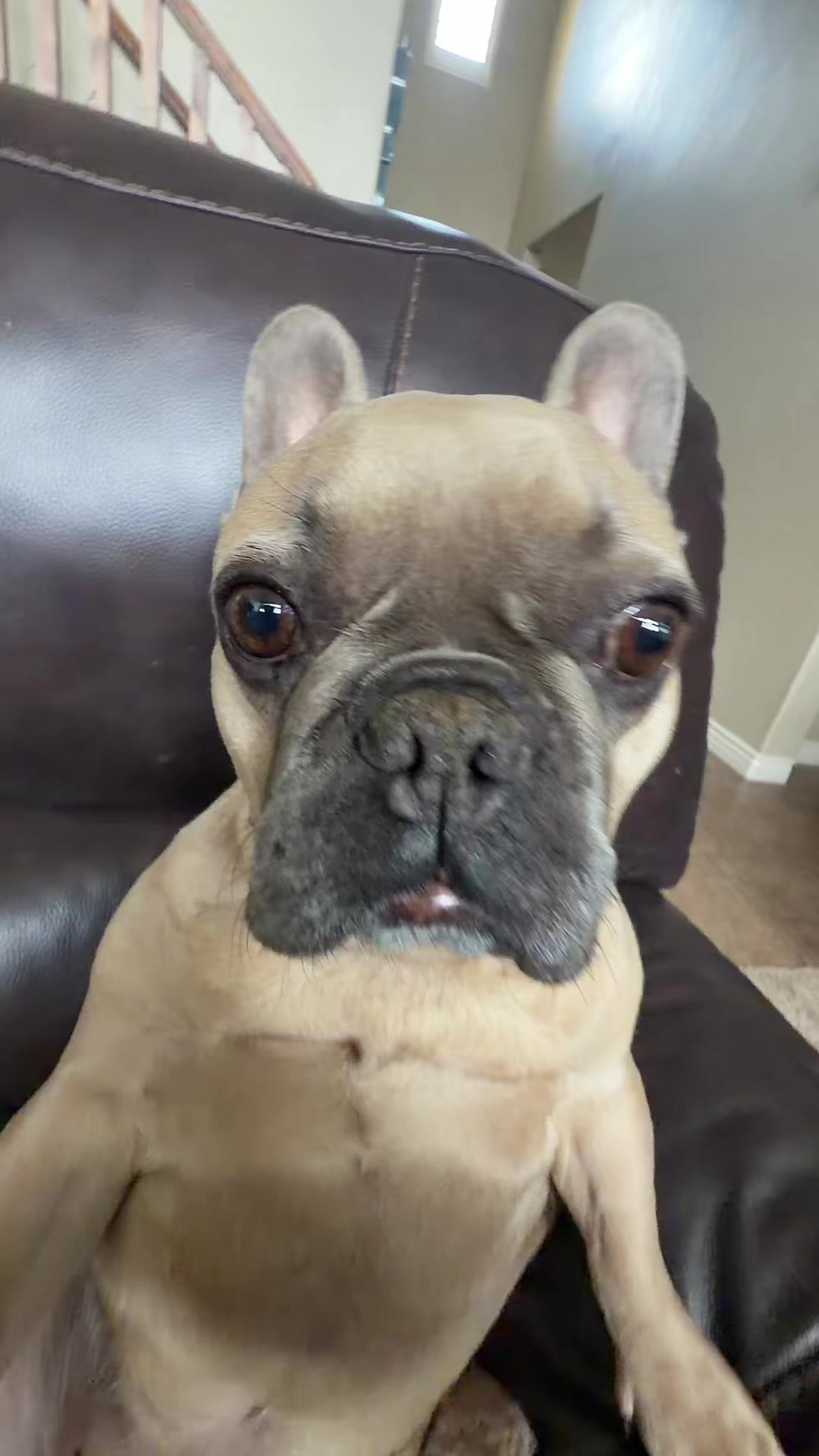 @bentleytheg0at