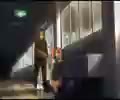 @HSOTDRevival