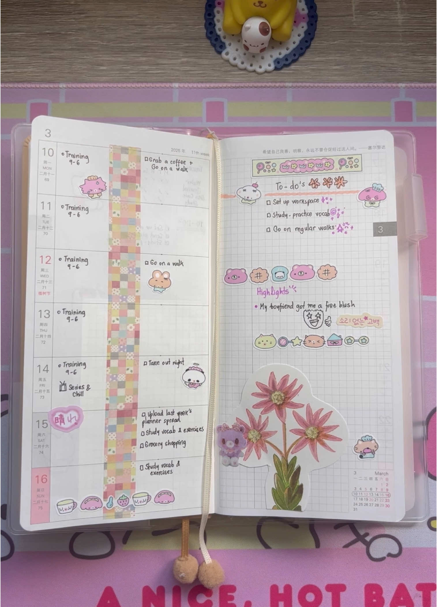 @Ann&rsquo;s Stationery 𓏲๋࣭࣪˖🎐