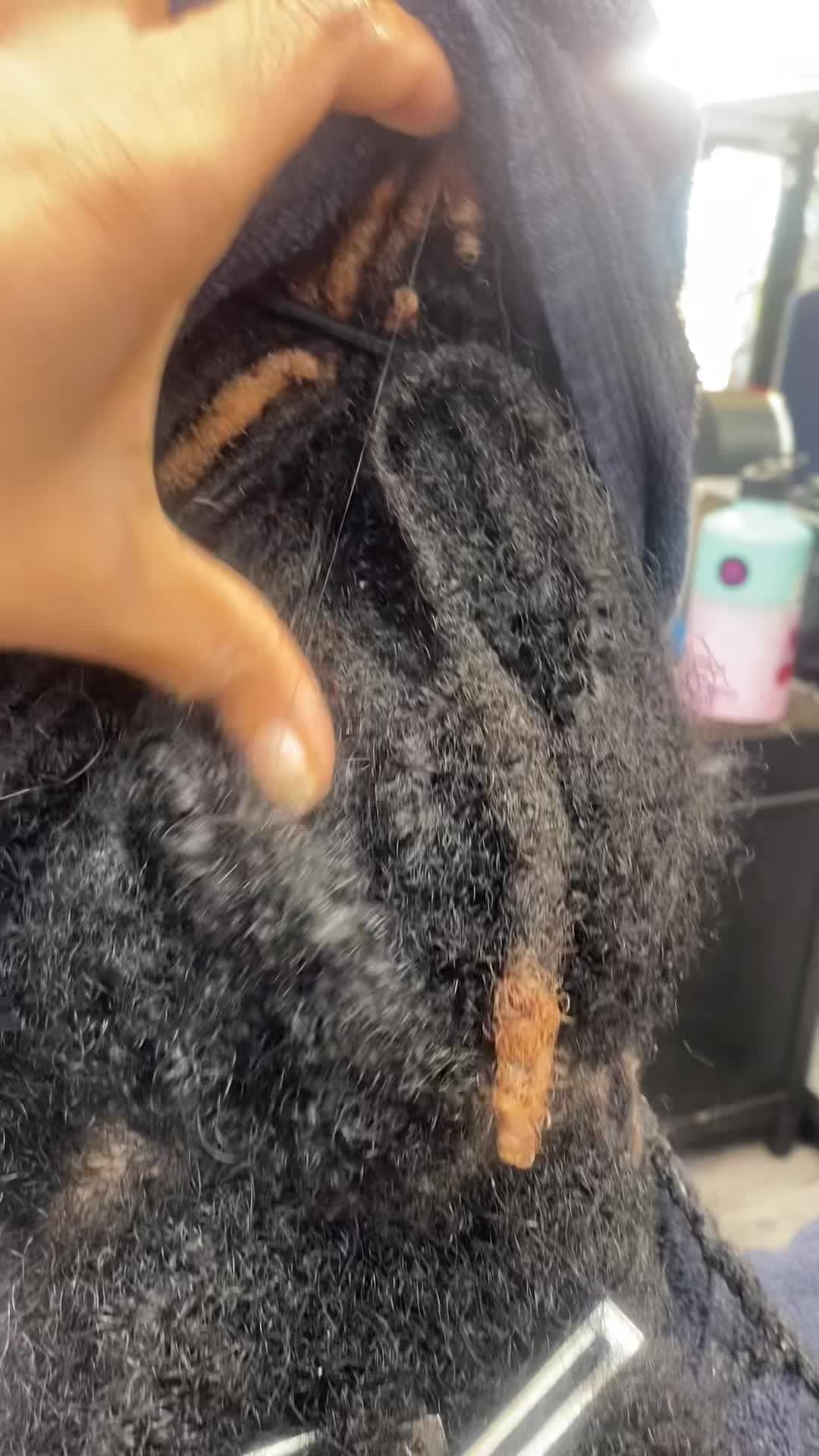 @BarbieBlendz💈