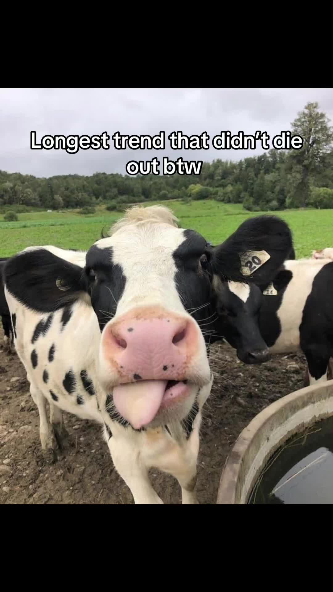 @Secret 🤫🤐