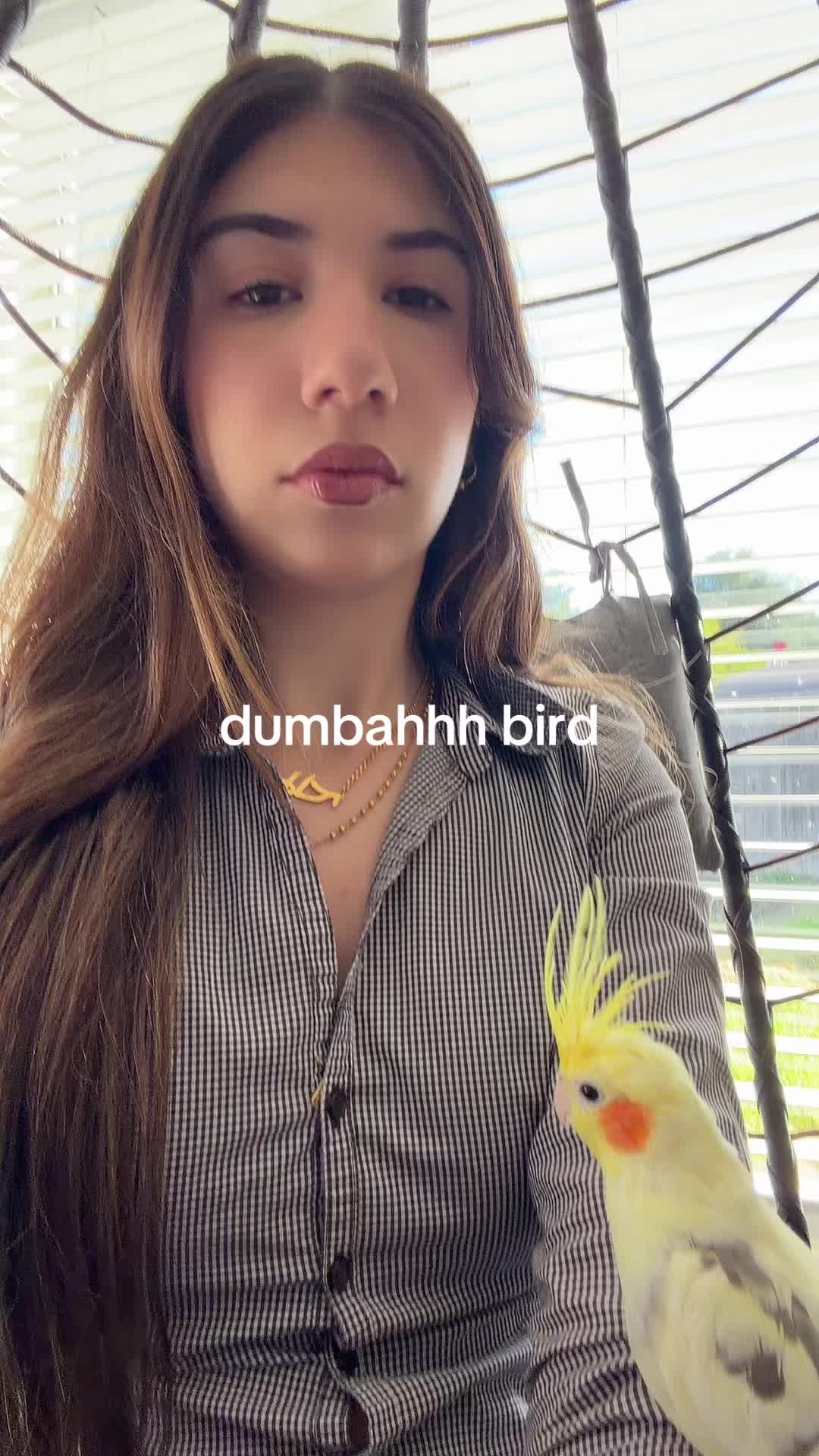 @🦢