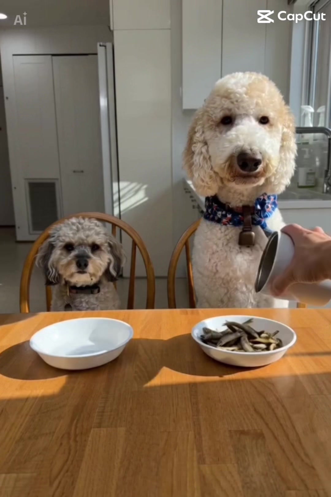 @bigdoodleandlittledoodle