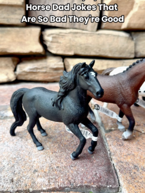 @Schleich Horse Club