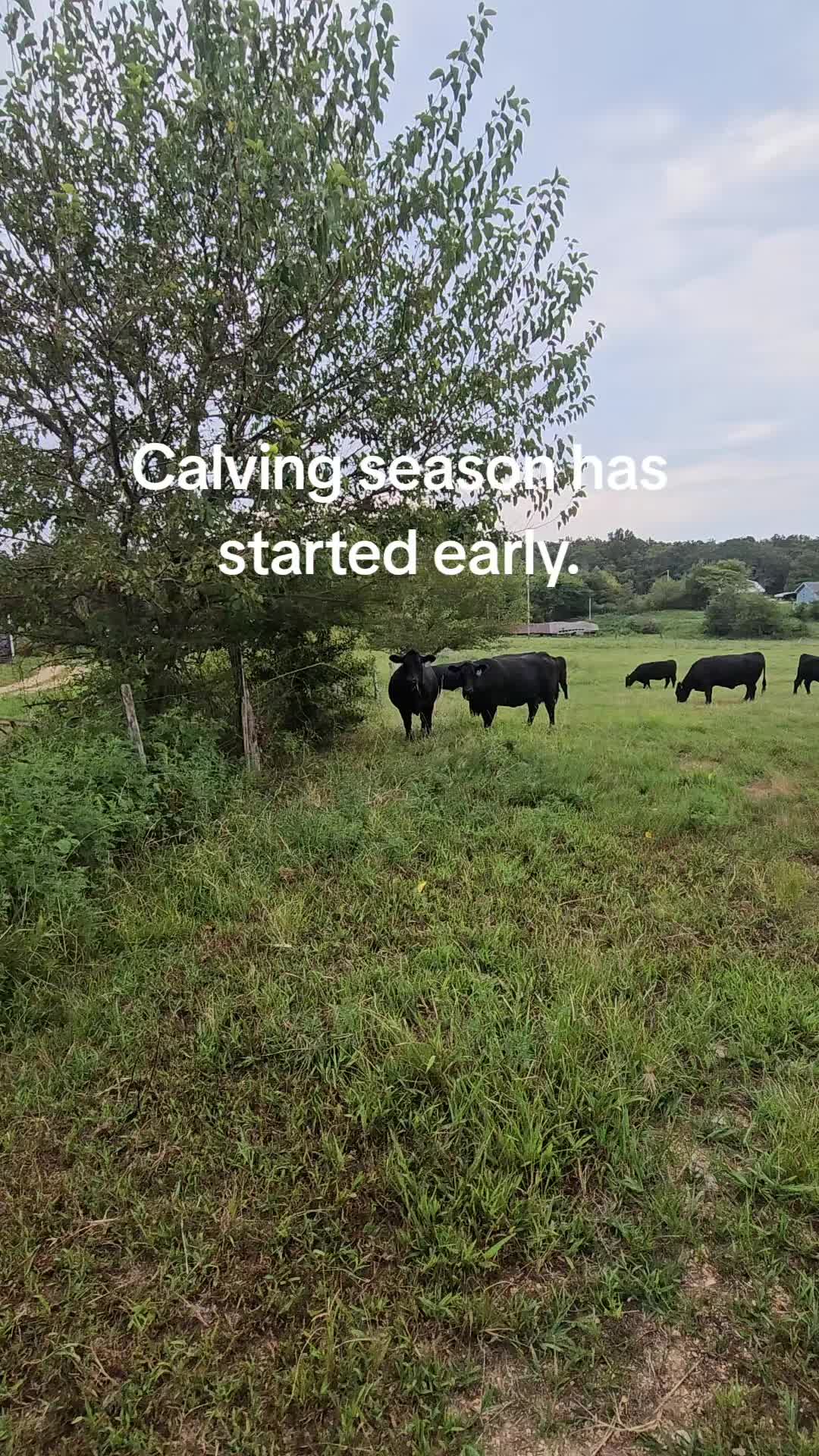 @77Ranch