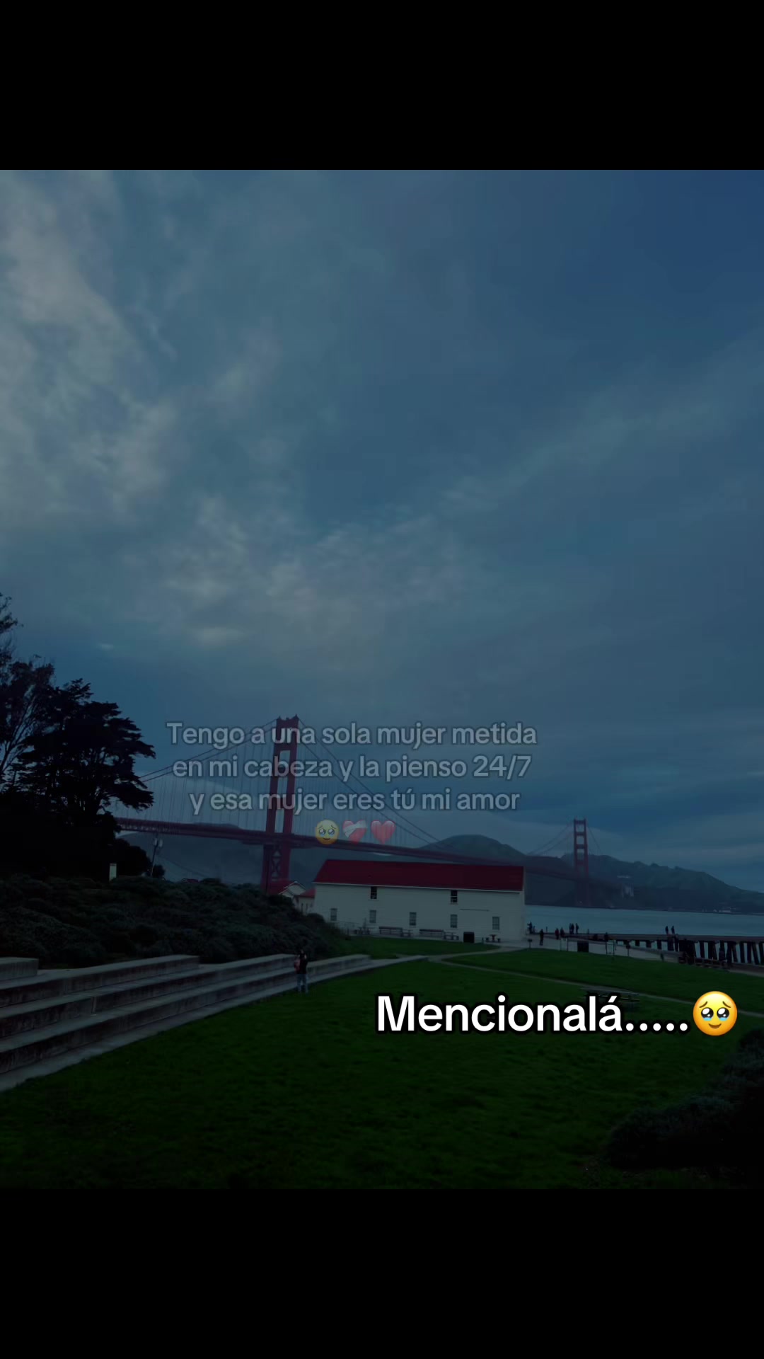@SoyLionardo_R🐻❤️&zwj;🩹