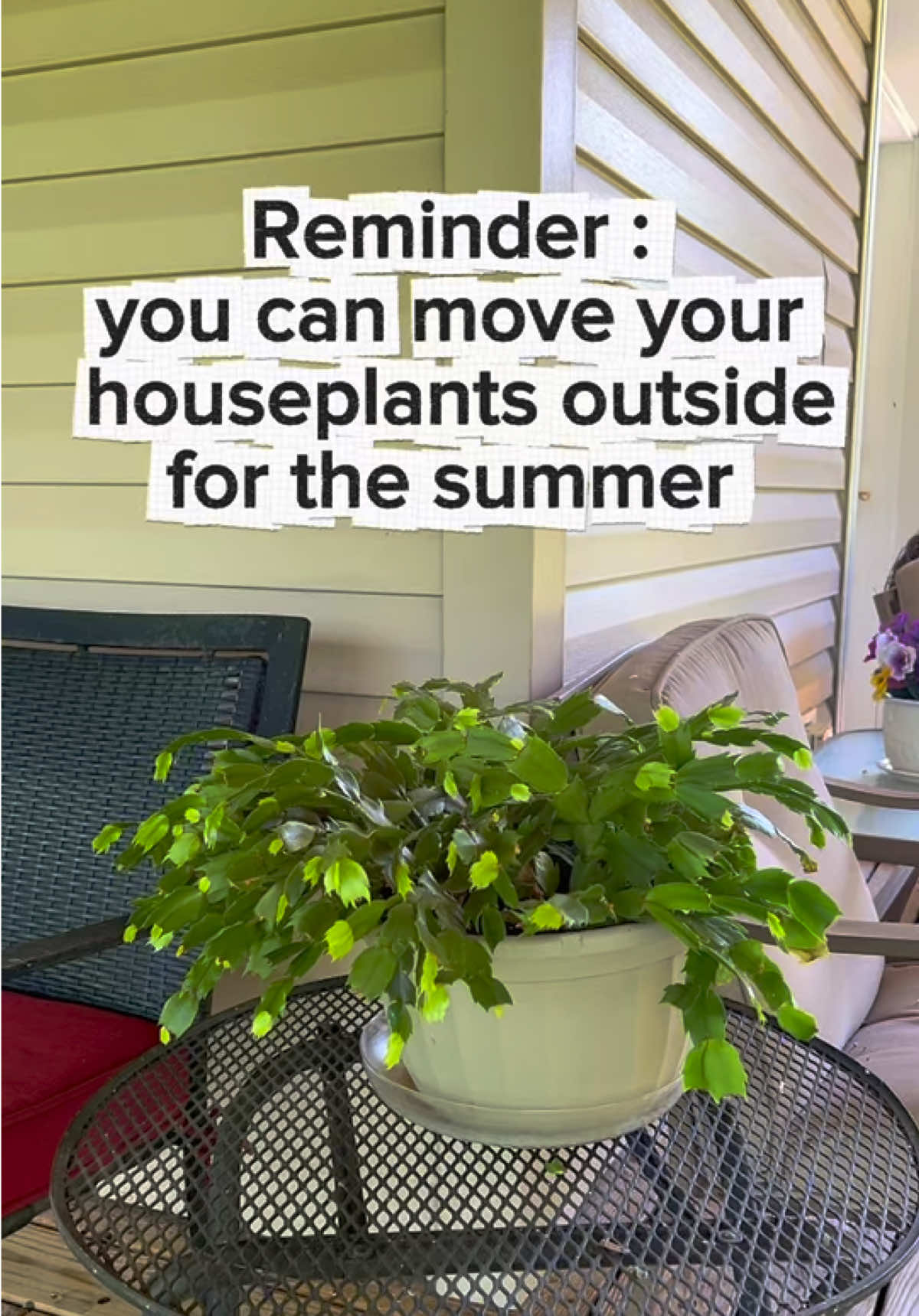 @mossball