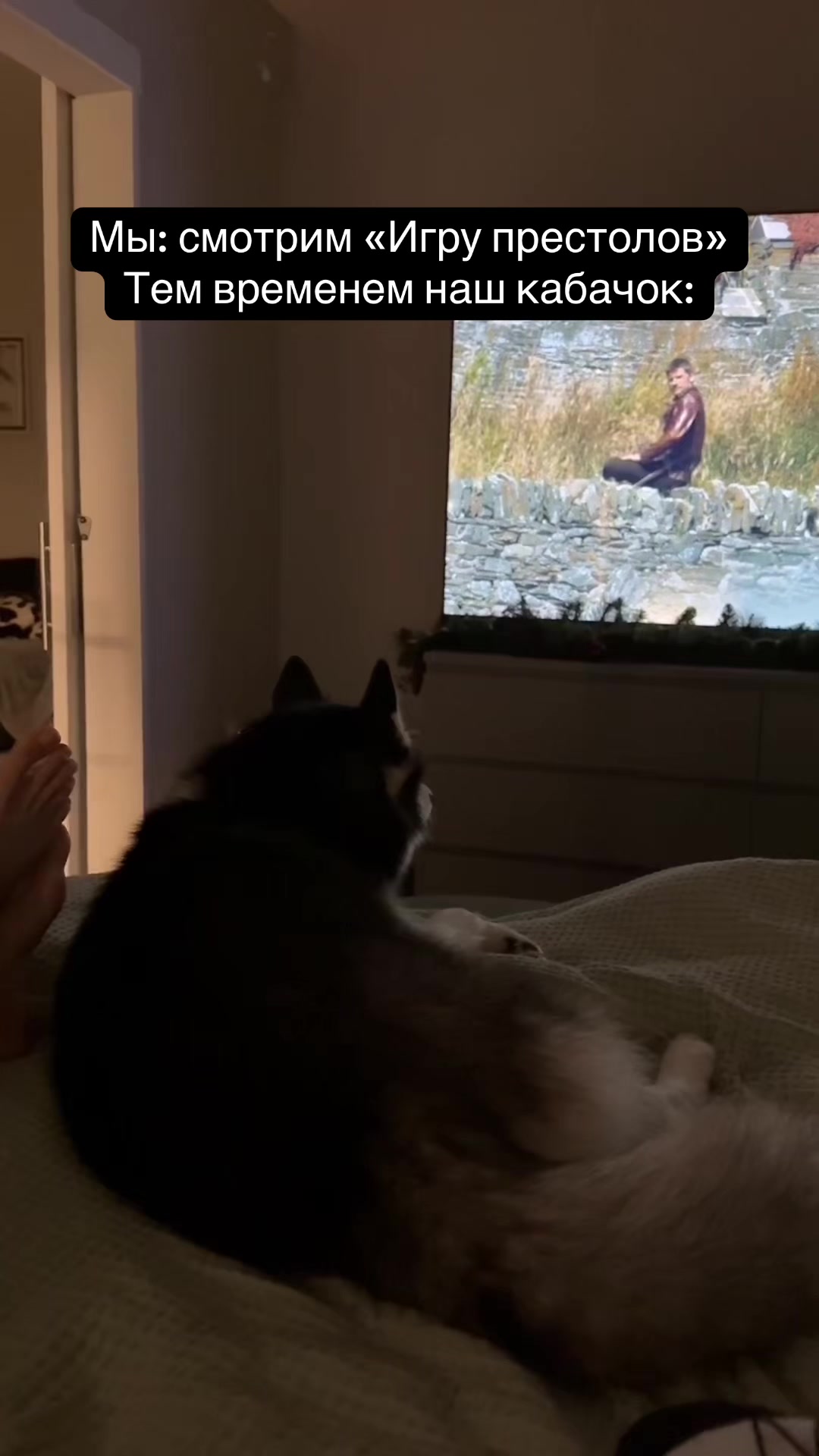 @Husky_mom