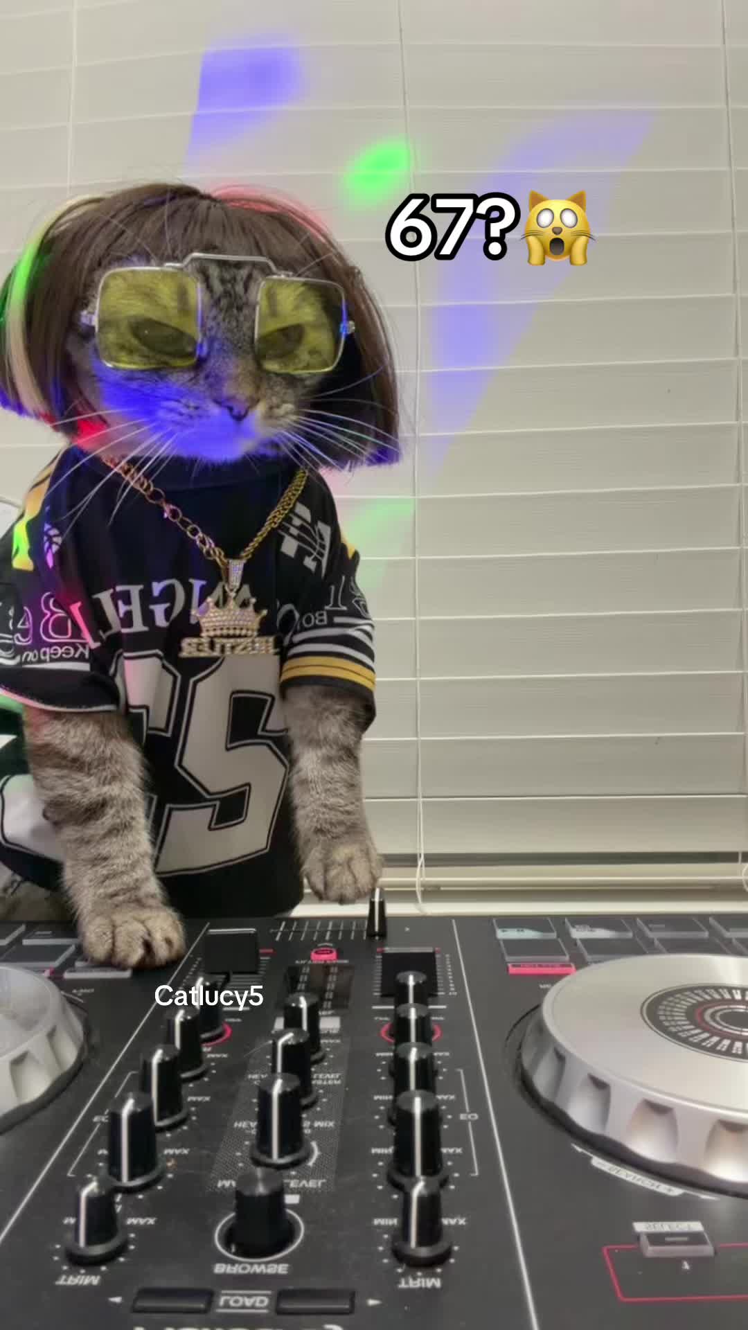 @Cat Lucy