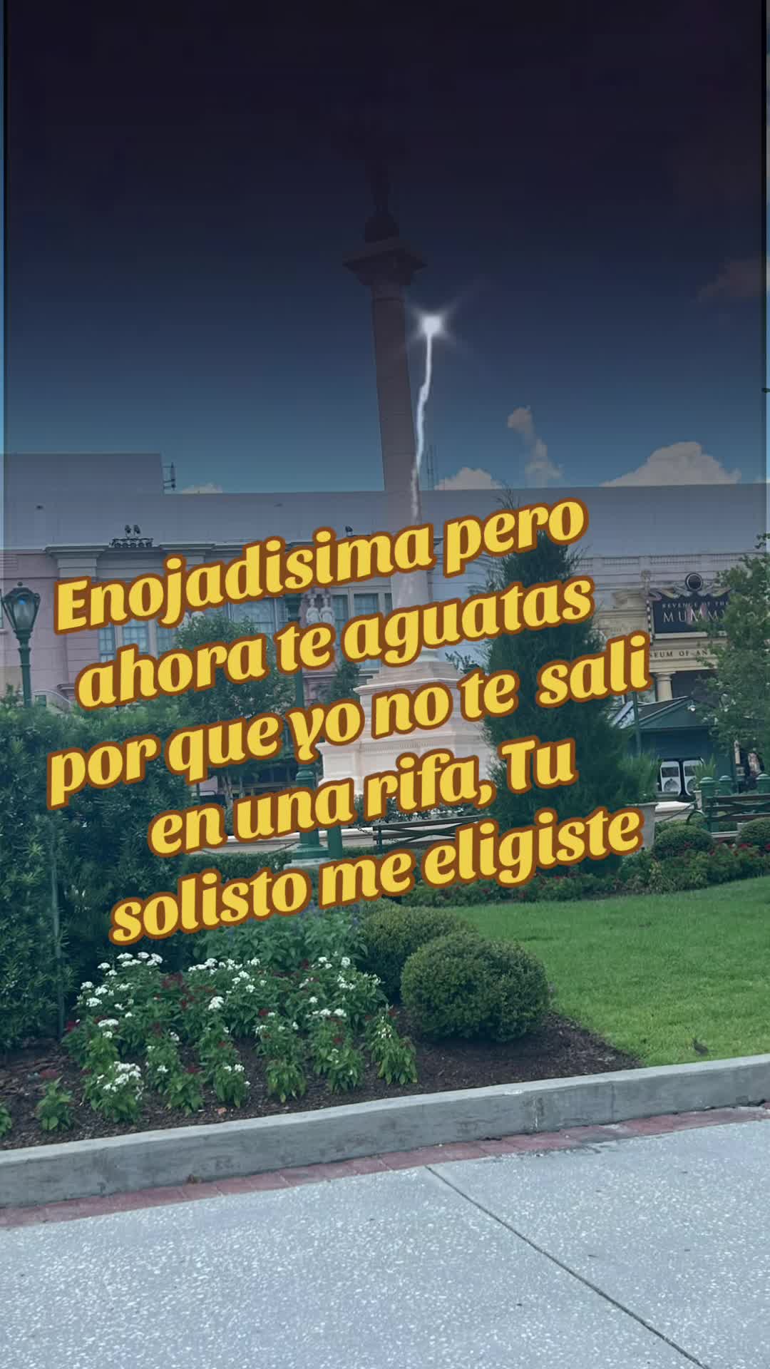@👑 JAZY 🌎🇵🇷🐘☄️🌹🥊