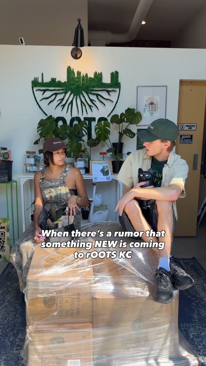 @Rootskc