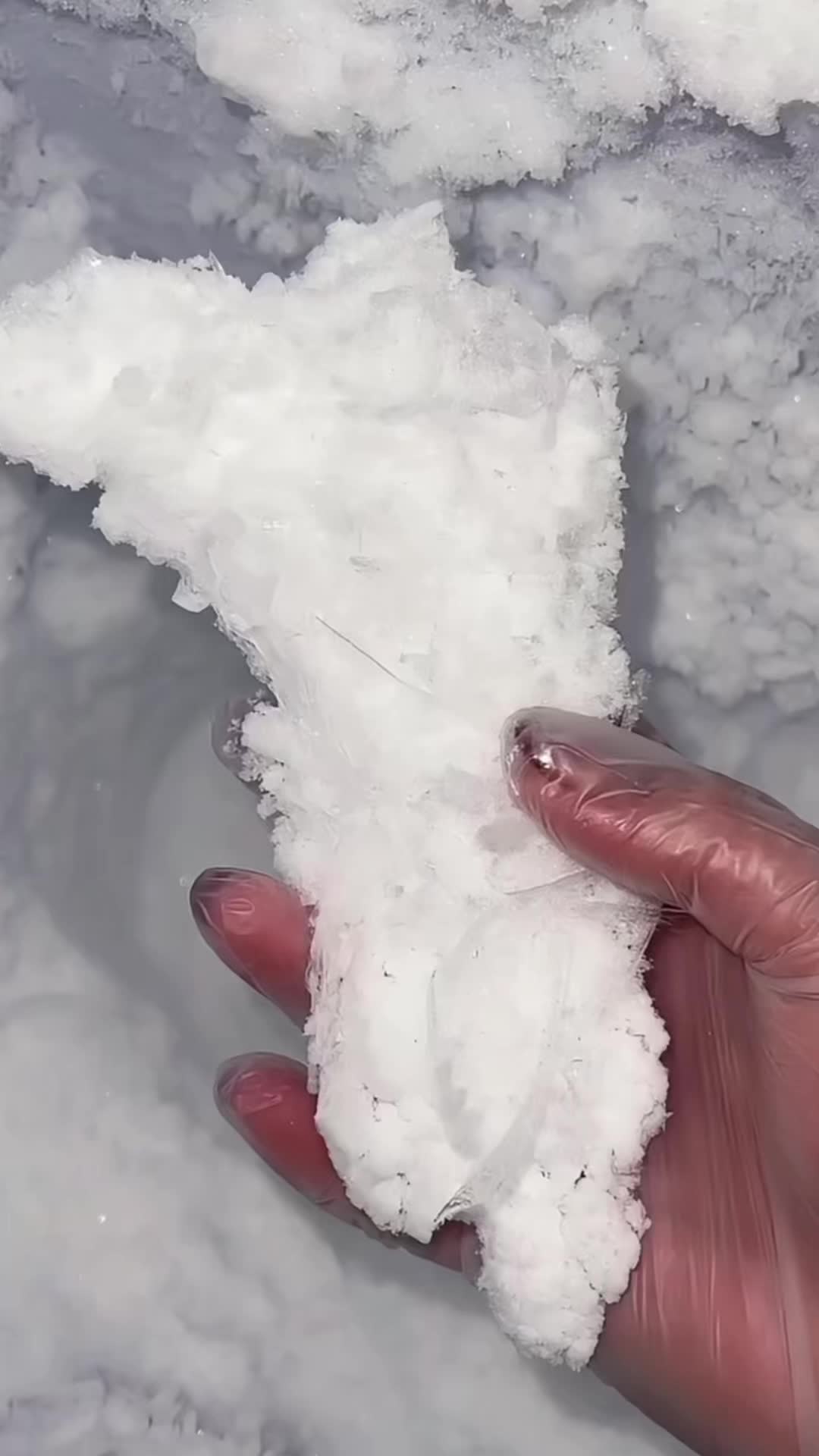@ICEE🩷