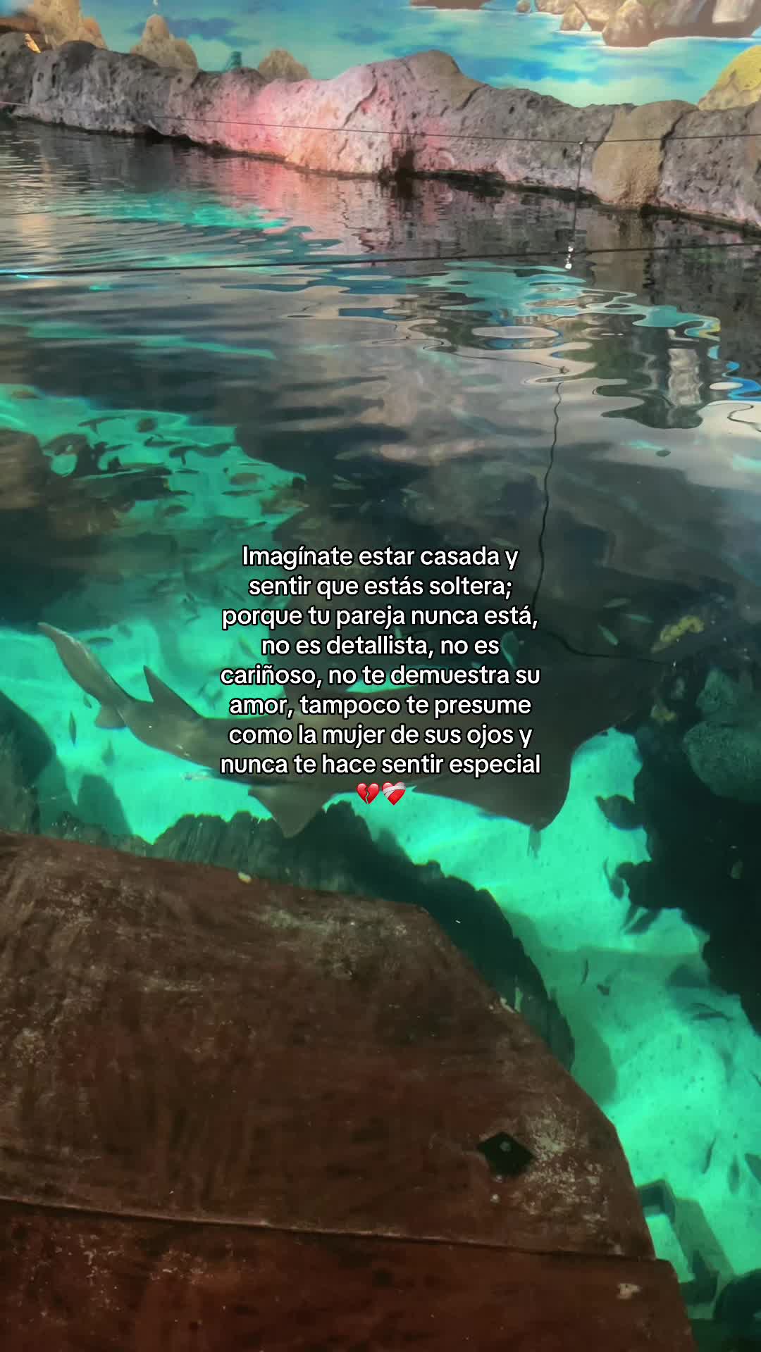@hadadeletras