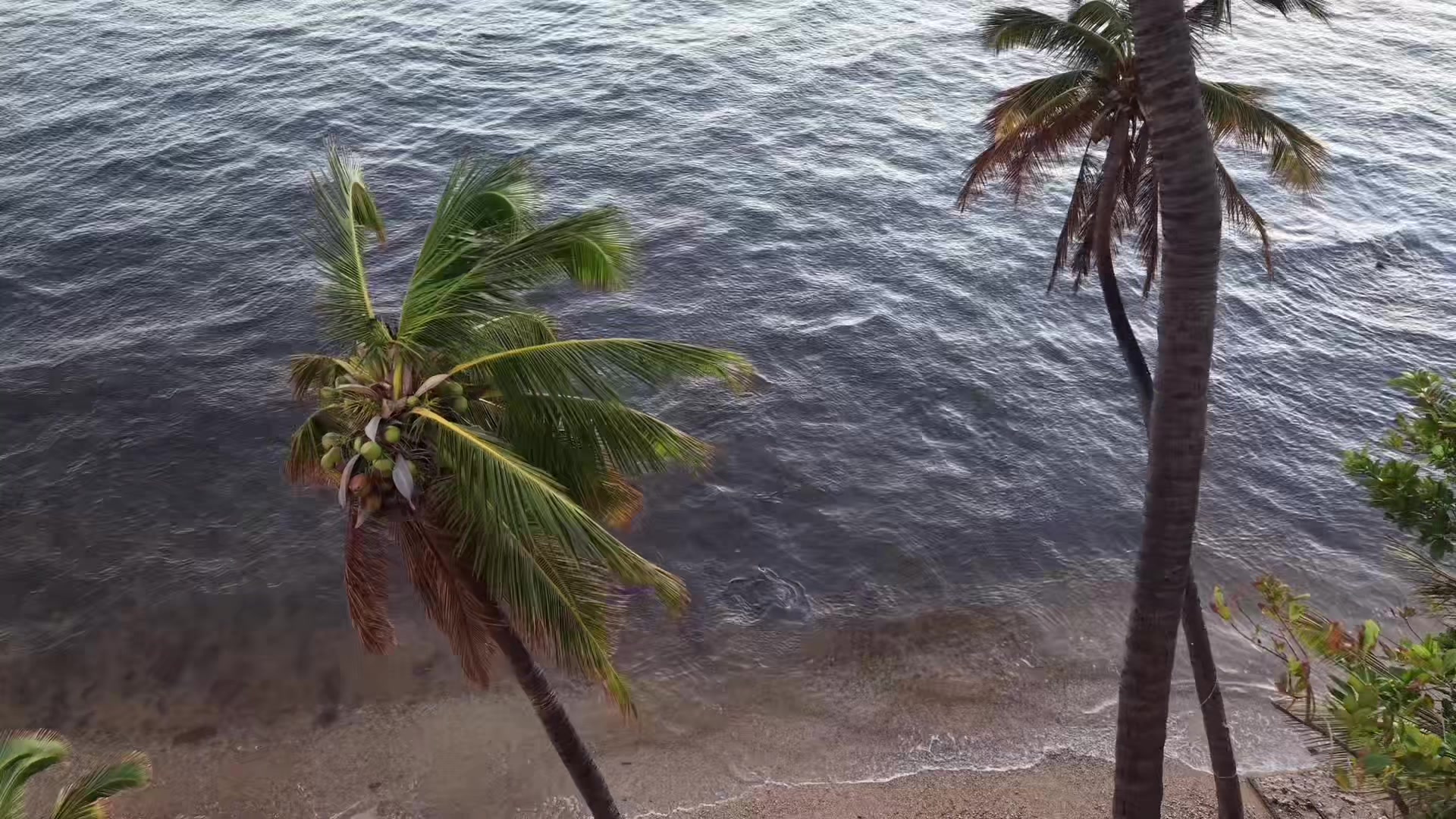 @fatsokauai
