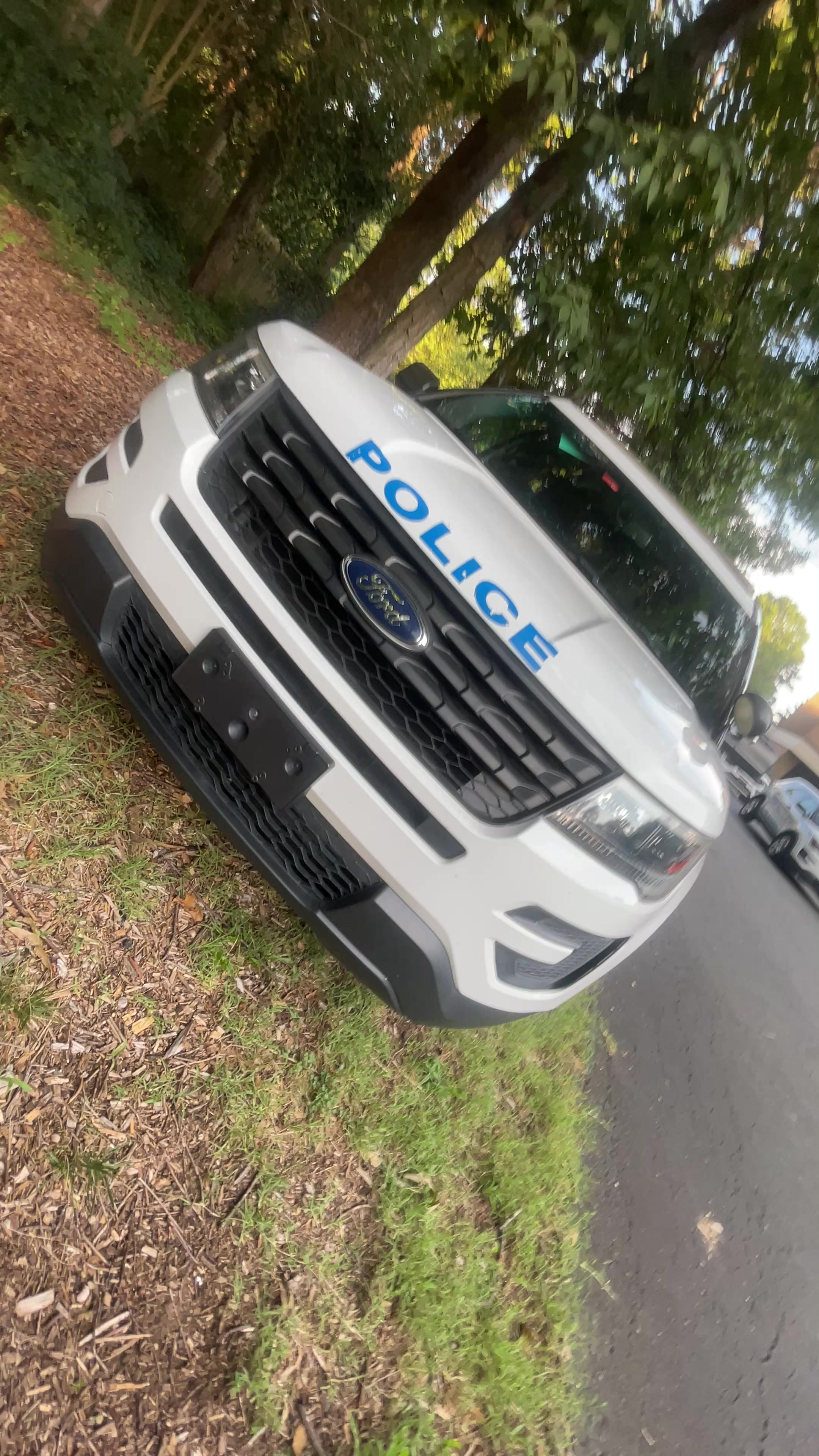 @code3cmpd