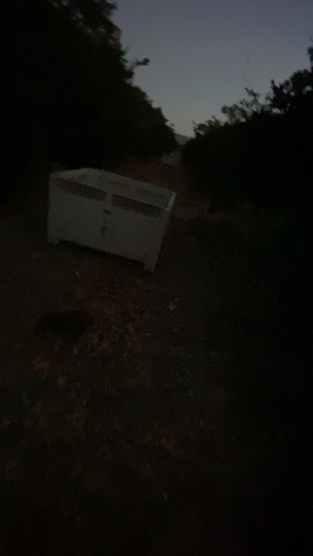 @Perro PAPAYAL