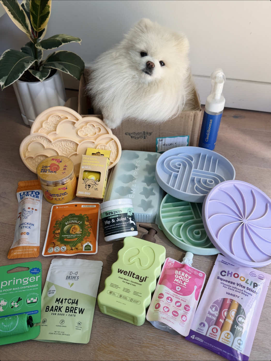 @lil.fluff.ball_mochi
