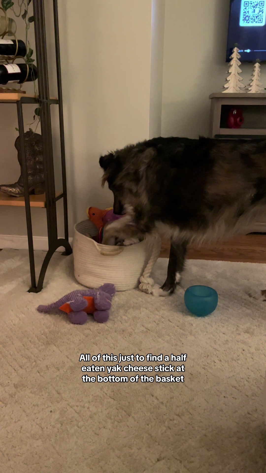 @THE LIFE OF KODA